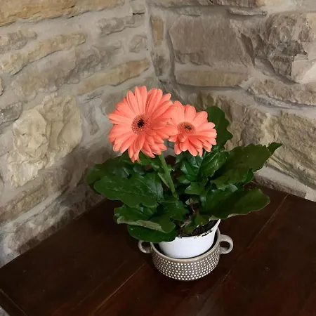 Casetta Ai Fiassoni Holiday home